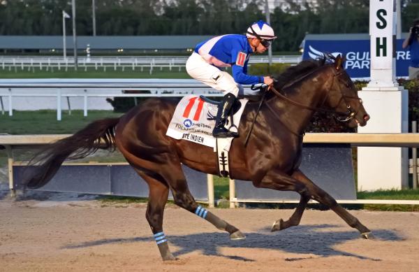 Fountain of youth stakes 2020 entries